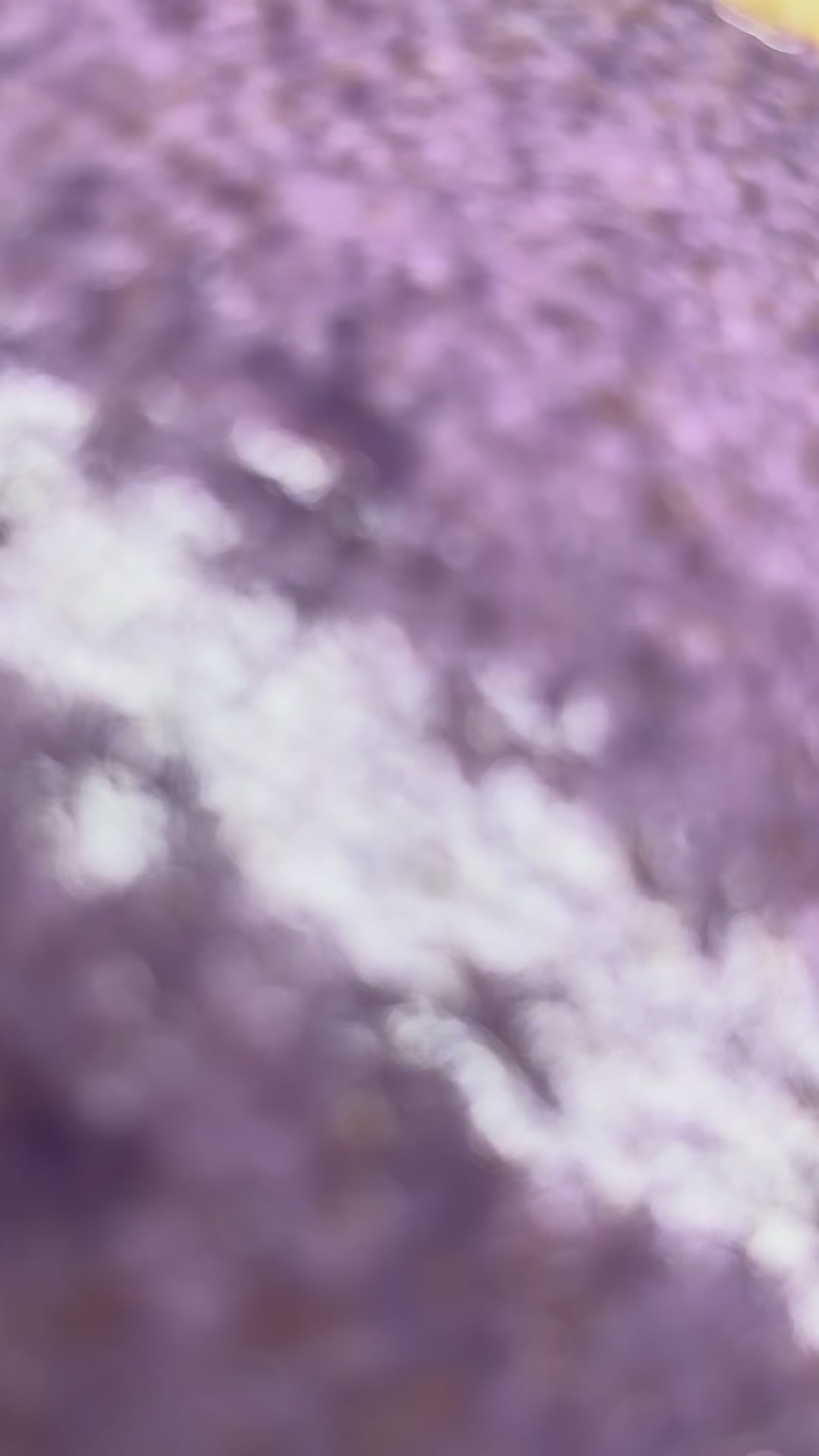 Ube' Mini 3"